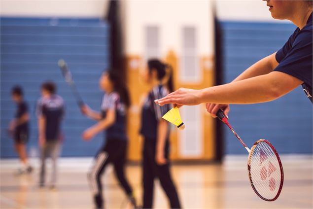 Badminton Play in Sport - Pixabay