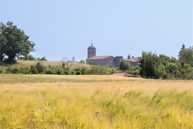 Vue sur le village médiéval de Pérouges depuis le sentier de Cotance - Marilou Perino