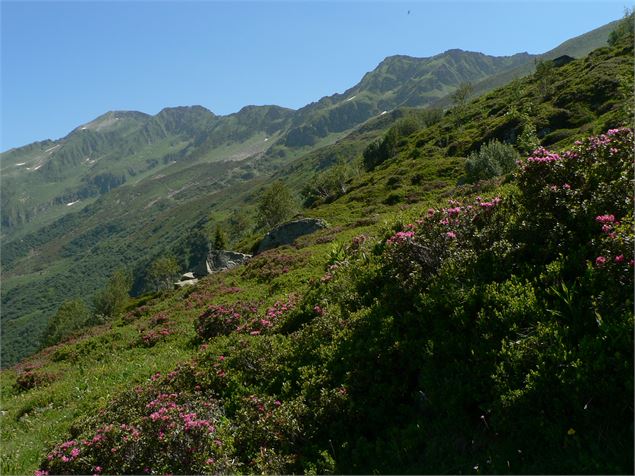 Bellacha - OT Porte de Maurienne