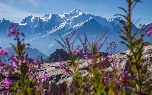 Vue sur le massif du Mont Blanc depuis l'arrivée du téléphérique - OT Flaine-Candice Genard