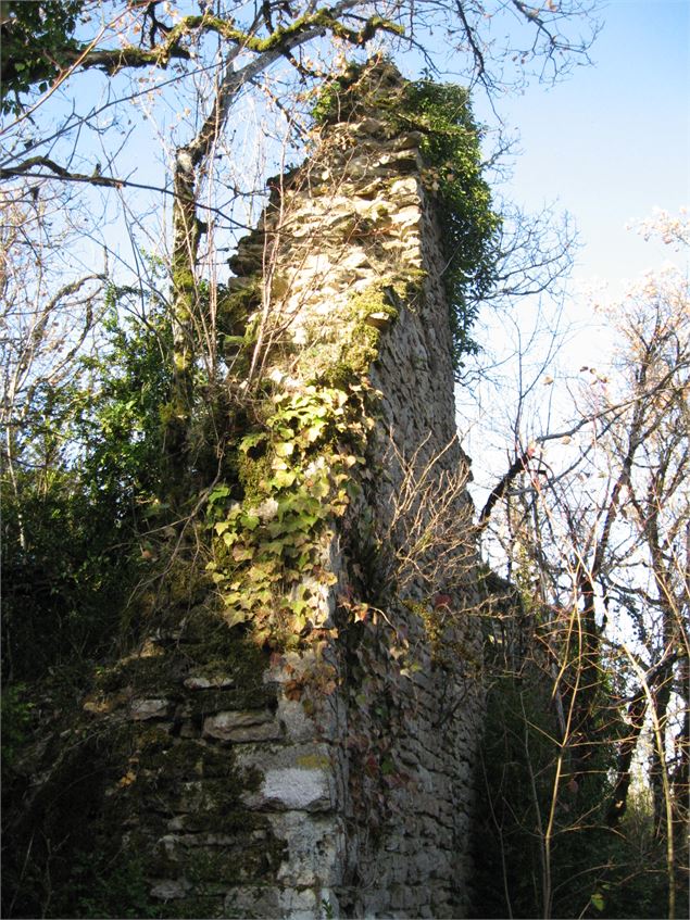 Les crêtes et ruines de la maison forte de Lomont