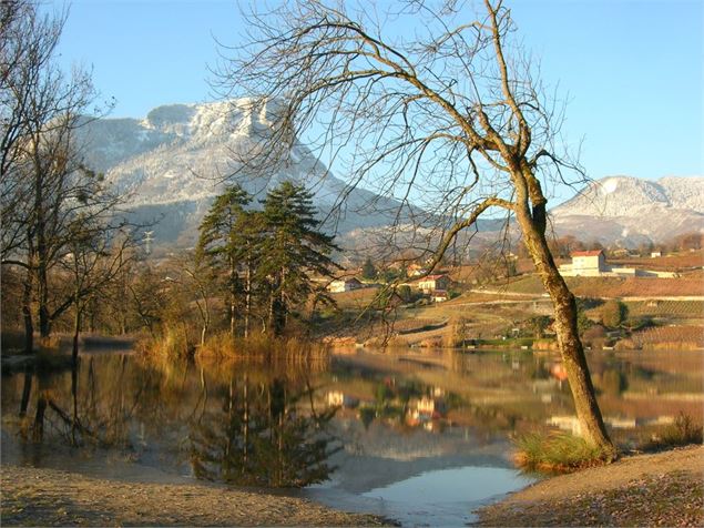 Vignobles du Granier et lac Saint-André - Savoie Mont Blanc - Lansard