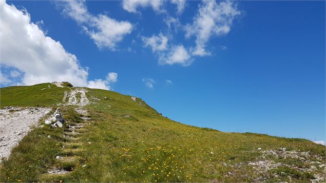 Sentier du Mont Saint Jacques - Amandine Elie