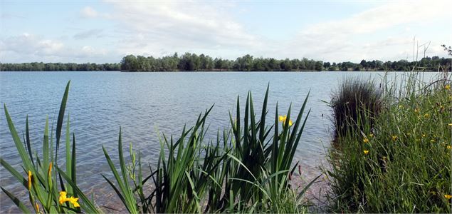 Les grands lacs - DR Propriétaire de l'étang