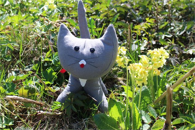 Visite de La Chapelle d'Abondance avec Chat-pître - CCPEVA