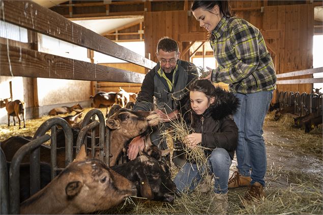 Accueil à la Chèvrerie de Vesonne_Faverges-Seythenex - tilby_vattard
