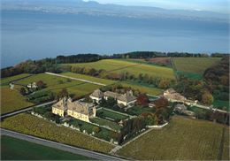 Vue aérienne du château de Ripaille et ses vignobles - Fondation Ripaille