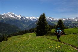 Trails Bozel - Mont Jovet - Geoffrey Vabre