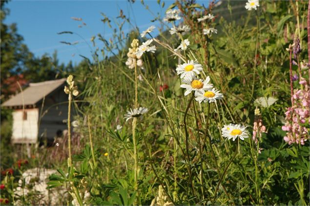 Visite du Jardin de Max et Nana - Max et Nana