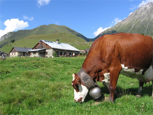 Découverte de l'agriculture au Pays du Mont-Blanc - La Fruitière