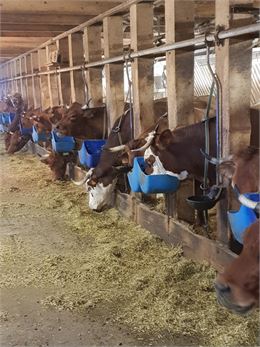 Visite de la ferme - Ac Colomb - GCAT