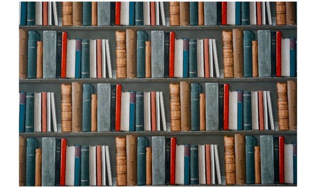 Venez découvrir cette édition spéciale réservée aux enfants de 7 ans et plus ! - Médiathèque de Publ