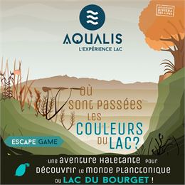 Escape Game : "Où sont passées les couleurs du lac? - Cisalb