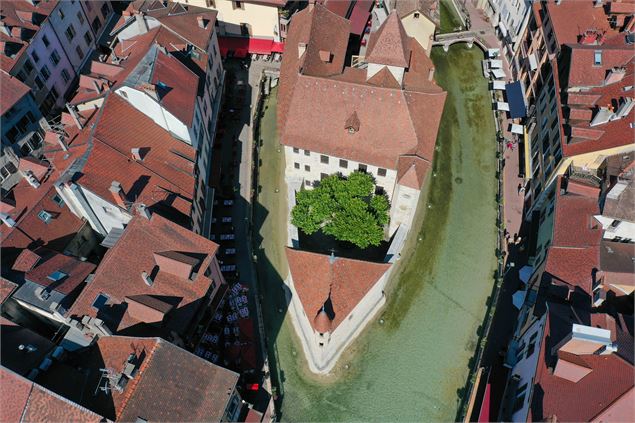 Vue aérienne du Palais de l'Île par drone - Lookin 3D