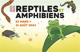 Exposition : Reptiles et amphibiens - Galerie Eurêka