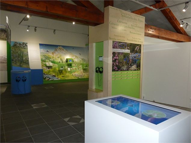 Exposition