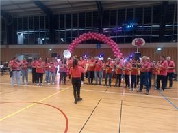 lyre mauriennaise pour octobre rose - facebook de la lyre mauriennaise