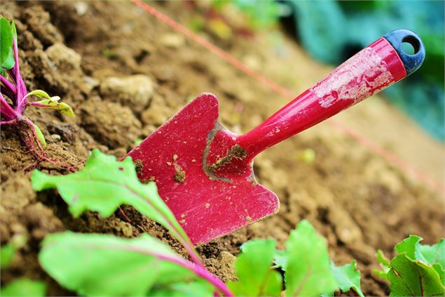 Jardin'Action