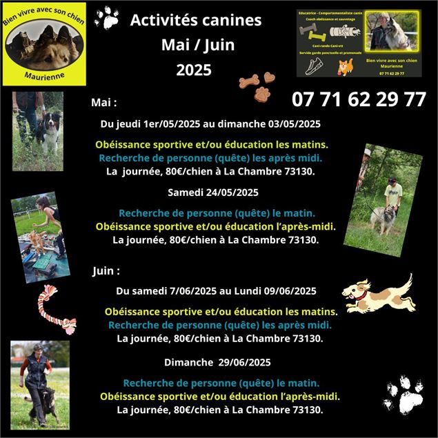 Stage éducation canine 2025 - Bien vivre avec son Chien en Maurienne