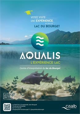 Flyer - Aqualis