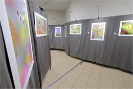 Festival Instants Sauvages 74 - Instants Sauvages 74