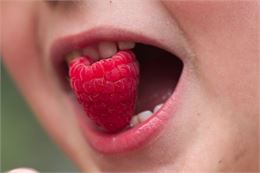 Atelier ALTEC (3-5 ans) - Découvre le goût et l'odorat_Bourg-en-Bresse - Pixabay