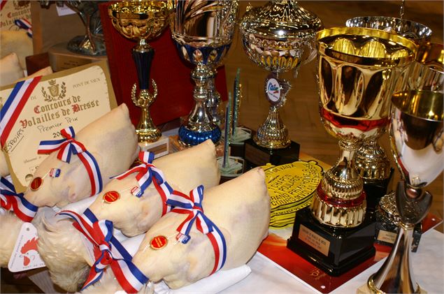 Lots de chapons - André Descottes