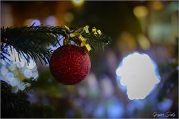 Décorations de Noël - Gregoire Surply
