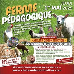 Atelier démonstration pour les enfants : "Du mouton à la pelote de laine"_Lovagny - Domaine et Châte