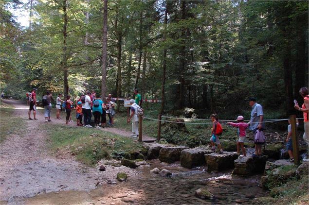 Fête de l'eau Oyonnax - Florence Daudé