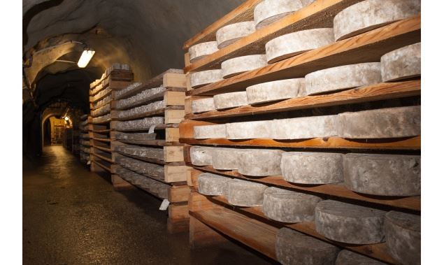 Visite des caves d'affinage de Rognaix - Caves d'affinage de Rognaix