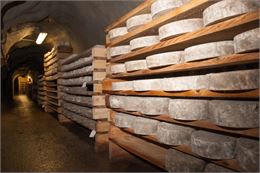Visite des caves d'affinage de Rognaix - Caves d'affinage de Rognaix