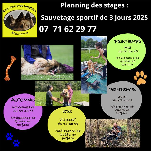 Stage canin : obéissance et quête en surface_La Chambre - Magali POIPY