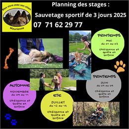 Stage canin : obéissance et quête en surface_La Chambre - Magali POIPY