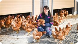 Adoptez une poule_Val-d'Arc - Adoptez une poule_Val-d'Arc