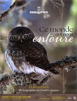 Exposition_"Ce_monde_qui_nous_entoure" - Mairie_de_Megève_et_David_Carpano