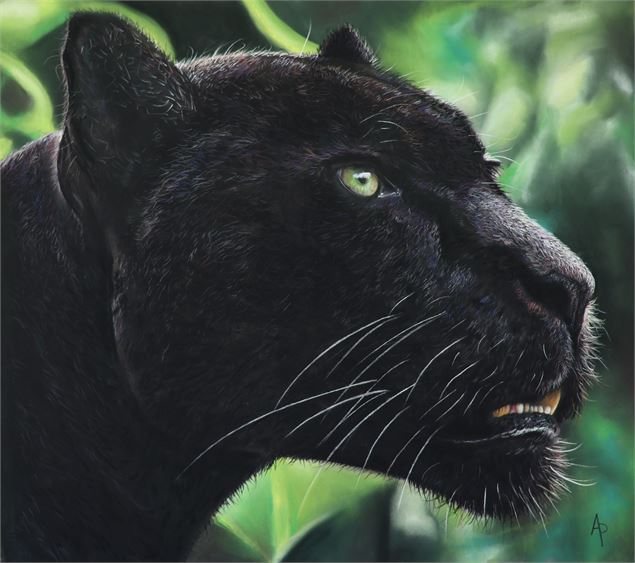 Exposition de peintures de Juillet_Bâgé-le-Châtel - Agnès Prigent