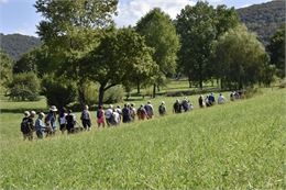 Marais tuffeux de la Belloire - CEN Rhône-Alpes