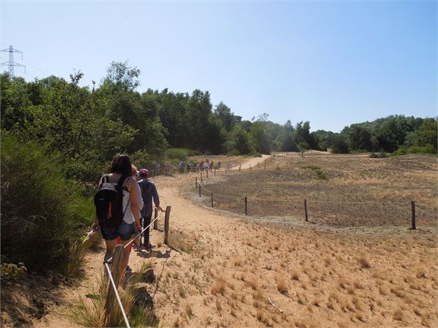 Dunes des charmes - CEN Rhône-Alpes