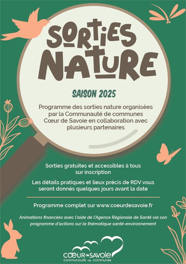 Sortie nature : découverte des papillons de nuit et des insectes