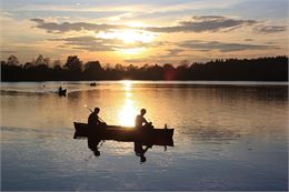 Sorties nature en kayak dans la réserve naturelle - Pixabay