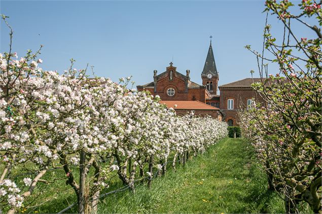 Visite du nouveau verger de l'Abbaye des Dombes_Le Plantay - Abbaye des Dombes