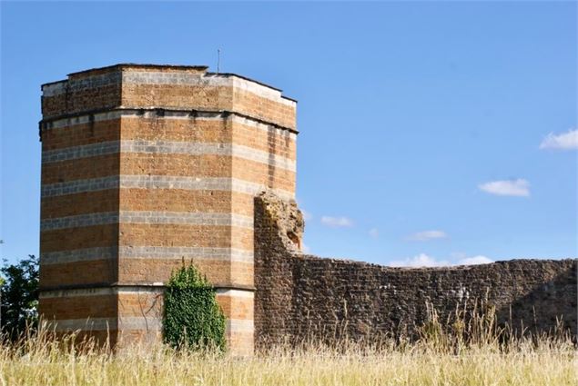 Vue depuis la prairie - Office de tourisme Ars Trévoux