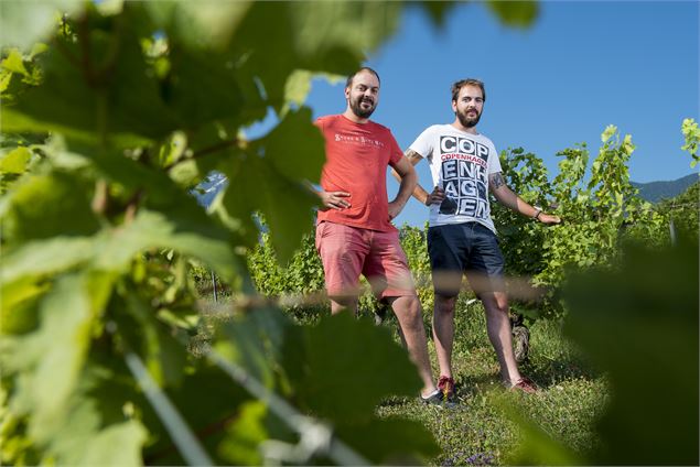 Apéro'Vignes au Domaine Dupraz