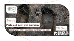 Sortie : "Pistes et suivi des animaux"