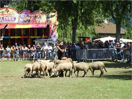 Foire de la St Laurent_Fillinges
