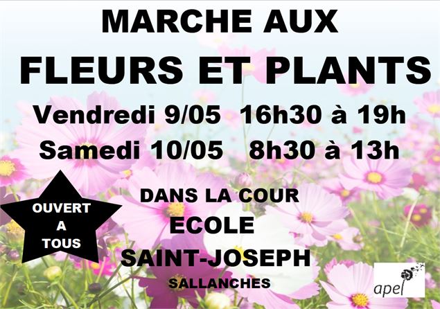 Marché aux fleurs & plants_Sallanches