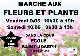 Marché aux fleurs & plants_Sallanches