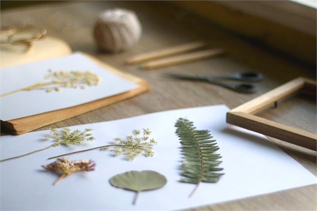 Ateliers Art et Sciences_Megève - lea layeux