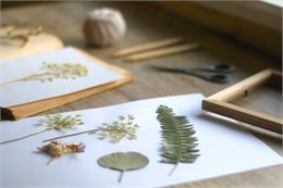 Ateliers Art et Sciences_Megève - lea layeux